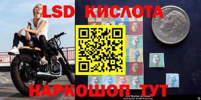 крисы Аргун