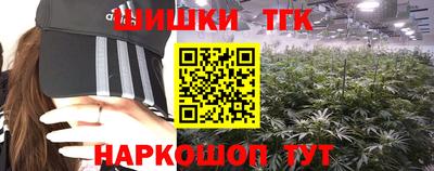 крисы Аргун