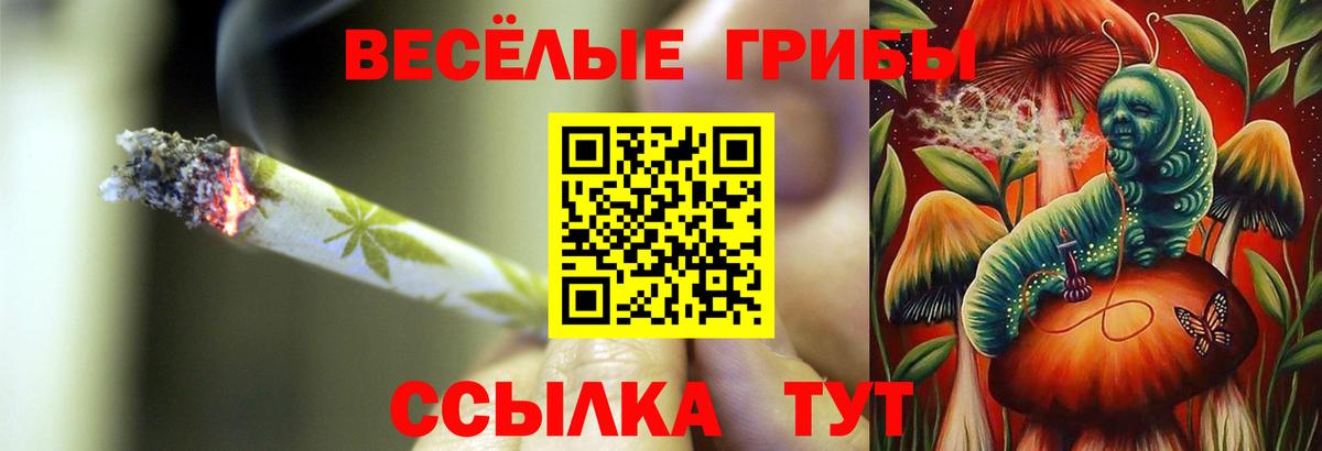 Псилоцибиновые грибы GOLDEN TEACHER  Вход с VPN  что такое наркотик  Владимир 